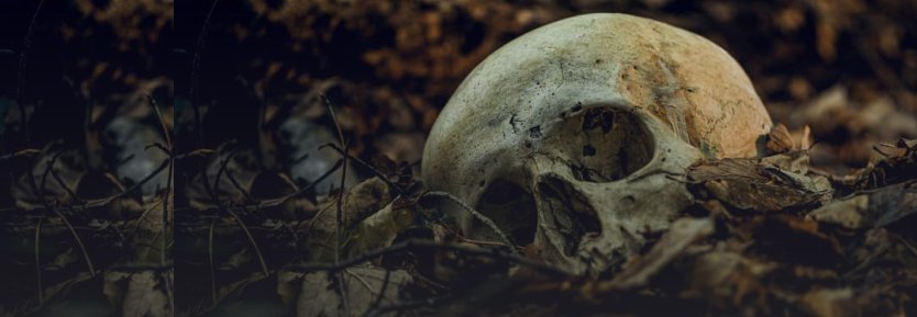 Disaster Victim Identification (DVI)